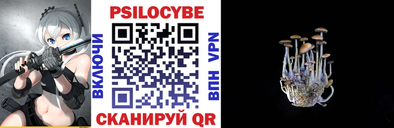 Псилоцибиновые грибы мицелий  купить закладку  Безенчук 